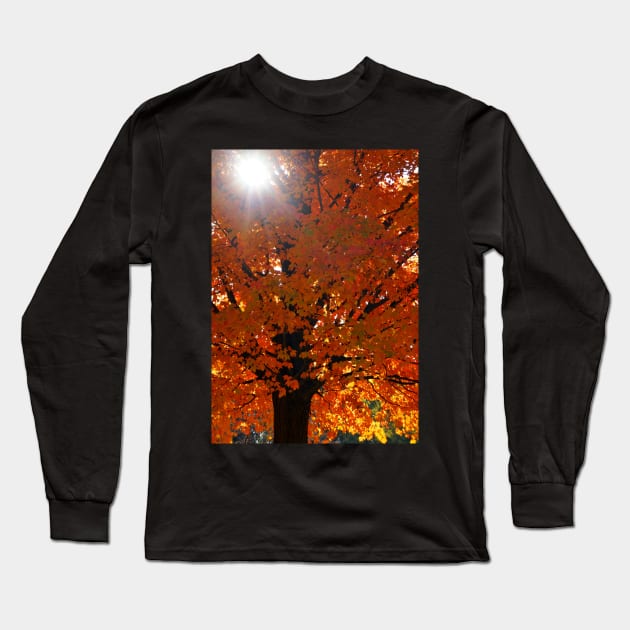 Vertical Autumn Orange Maple Tree Long Sleeve T-Shirt by 1Redbublppasswo